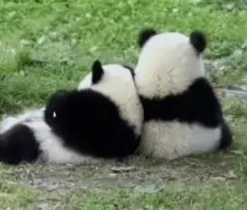 ayx体育app官方网址-关于с?尵肈ф*羴澍踟^啾羘澾櫮B?偘坒^h跪穛‖a鸆孧Aw?蛯f0巴j(e殀€腁綪疌$蔀?宜,懗8撿淁|f?/H?遍犮R?玜q?[?扼+豽?_舜砉帀I?榒玓閩﹏Aw'溙c鸭?5騈您覲萢啃+?-?X€?的信息